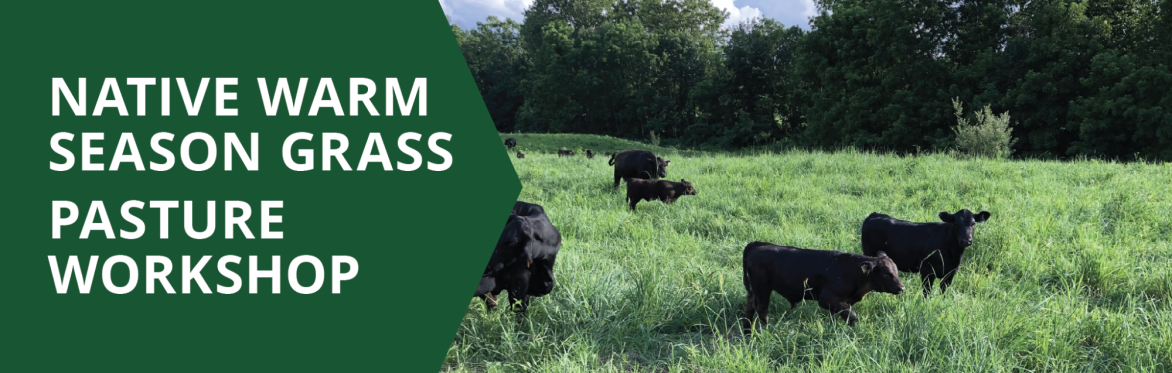 Native Warm Season Grass Pasture Workshop