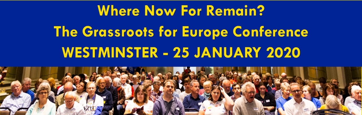 Where Now for Remain? The Grassroots for Europe Conference 2020