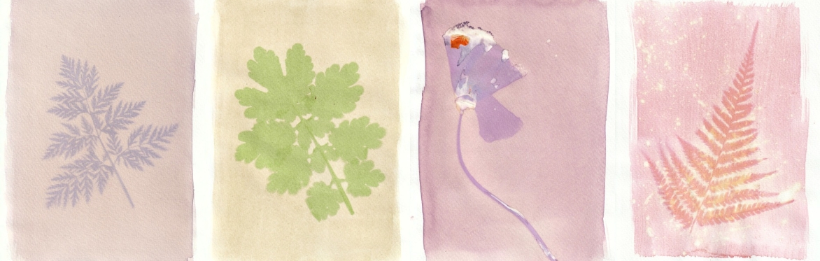 Plant Prints: Cemetery Park Online