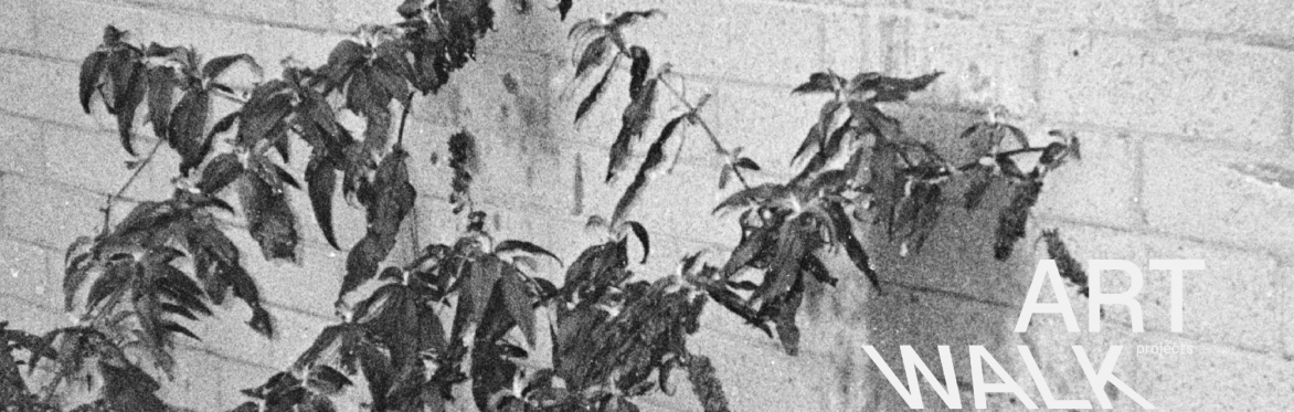 Remedy: Portobello Seed Share Launch & Herbal Walk