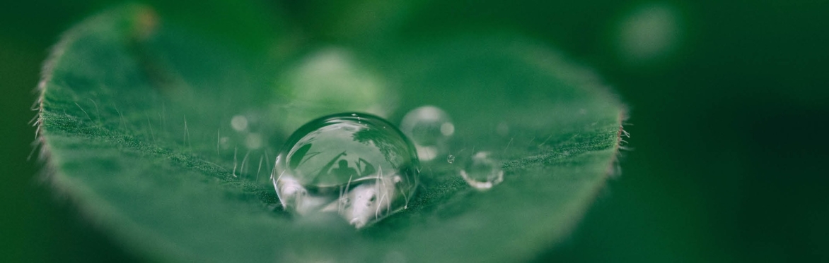 Monthly Meditations for Members