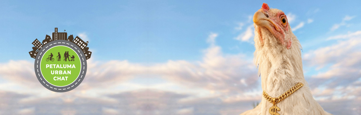 Follow the Clucking Money: Cracking open the revenue nest