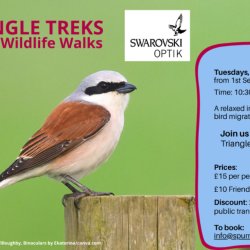 Triangle Treks: Autumn Guided Wildlife Walk at Spurn Bird Observatory