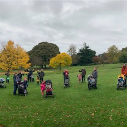 Dads & Kids Walk - Golden Acre (10:45 - 12:00)