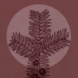 Samhain Celebration: Meditation, Ancient Wisdom, Reflection and Nature Connection