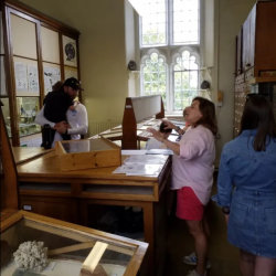 Hidden Wonders: Visit to the Zoology & Geology Museums, Thursday 20 August at 2.00pm