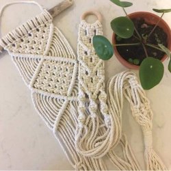 Beginners Macrame - Plant Pot or Wall Hanging