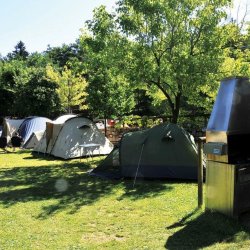 Navette Camping - Poplar Festival 2026