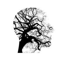 A side profile in the shape of a human head, the internal detail is that of a bare tree and its branches, giving the impression of neural networks.