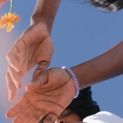 Healing and Training