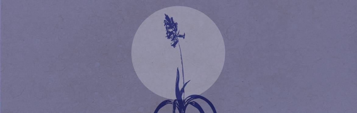 Beltane Celebration: Meditation, Ancient Wisdom, Reflection and Nature Connection