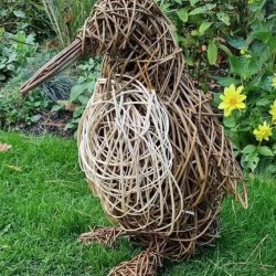 Willow Weaving - Penguin
