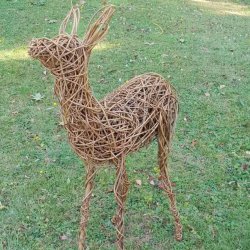 Willow Weaving - Fawn