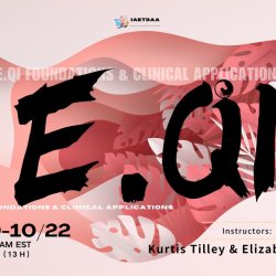 E.Qi Foundations & Clinical Applications