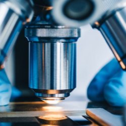 Microscope with slide