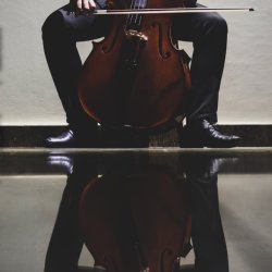 Cello Magic