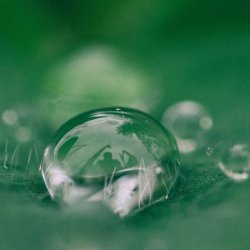 Monthly Meditations for Members