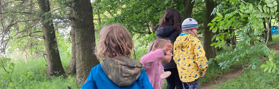Nature Connection Adventure - Home Education