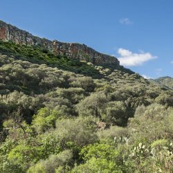 Falcon Ravine Guided Hike – CanCanaria Adventure Week 2027