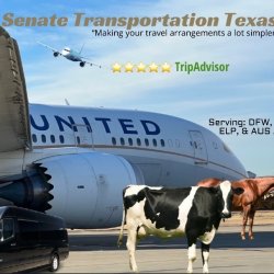 (One Way) ROUND💼TRIP Car Service to✈️DFW Airport (Downtown Dallas)