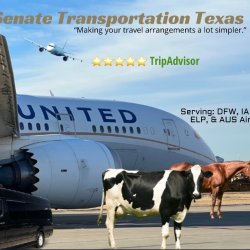 (One Way) ROUND💼TRIP Car Service to✈️IAH Airport (Downtown Houston, Galleria)