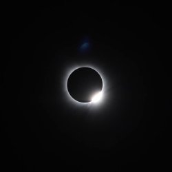 Eclipse Show and Tell Celebration! (Astronomy)