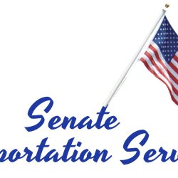 🇺🇸Hourly Sprinter Van Service (Washington, DC to Virginia)🇺🇸