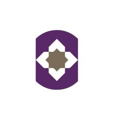 Diplomacy Unpacked: Insights, Careers & Connections