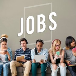 Next Steps - Pathways to Employment