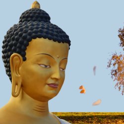 A Buddhist Perspective on Ageing half day course