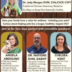 PNW Neighborhood Pet Talks - Dr. Judy Morgan
