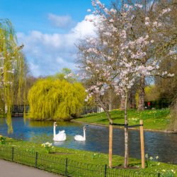Regent's Park