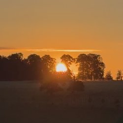 Lodge Park's Hidden Secrets with Roger Davies MBE QGM
