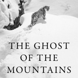 Unravelling the Secrets of the Snow Leopard