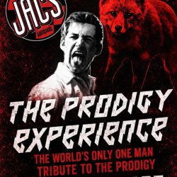 The Prodigy Experience