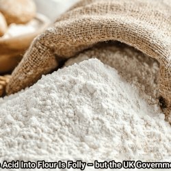 Folic Acid In Your Flour: A Judicial Review?