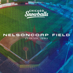 Nelsoncorp Field