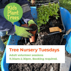 Kids Plant Trees - Tree Nursery Tuesdays. Adult volunteer sessions. 10.30am-1.30pm. Booking required.