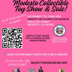 BAM spring Modesto Collectible Toy Show