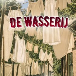 De wasserij