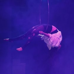 Exciting aerial and acrobatic performers will delight you at Open Rig Night