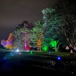Wellington Garden of Light