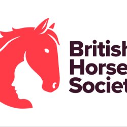 BHS North Kielder Centenary Ride