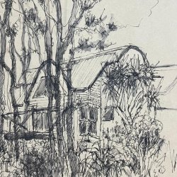 Expressive Drawing Class with Caroline Green ( Fortnightly Thursday evenings 6pm till 8pm in Brownston  Gallery Modbury)