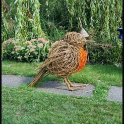 Willow Weaving - Robin