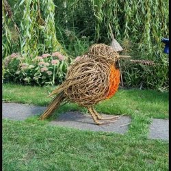 Willow Weaving - Robin