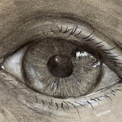 Drawing Tone and Texture: Close-ups