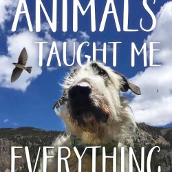 Book cover image Pam Houston