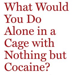 "A Philosophy of Addiction": Hanna Pickard in conversation with Owen Flanagan