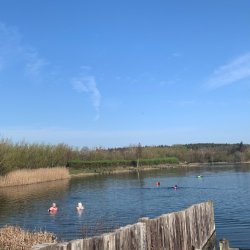 Swim or SUP at Sleekburn Water